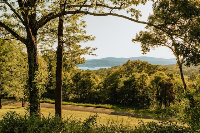 property view of mountains with a water view