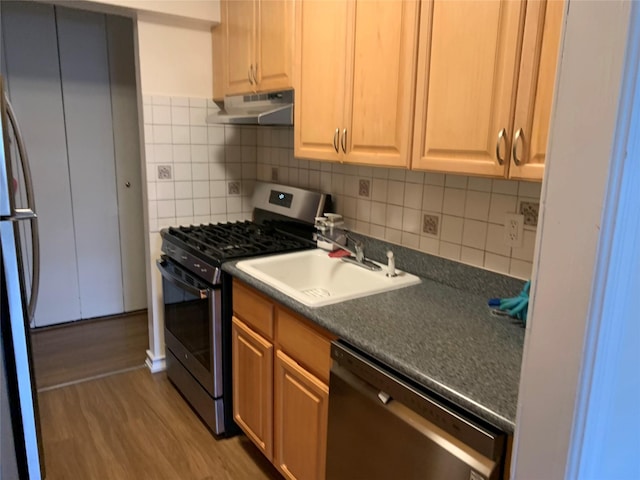 kitchen featuring wood-type flooring, stainless steel appliances, tasteful backsplash, and sink