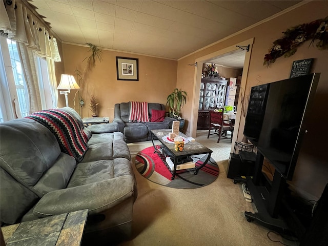 living room featuring crown molding and carpet