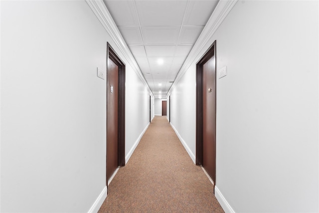 hall with light carpet and crown molding