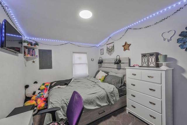 bedroom with dark colored carpet and electric panel