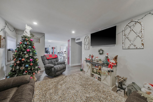 living room with light hardwood / wood-style floors