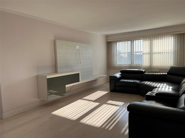 living room with hardwood / wood-style floors and ornamental molding