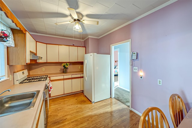 kitchen with light wood-type flooring, white appliances, ceiling fan, crown molding, and sink