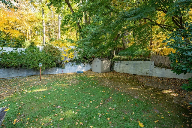 view of yard featuring a storage shed