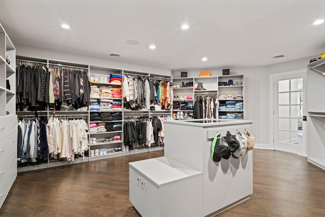 spacious closet featuring dark wood-type flooring