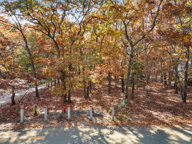 38WOODEDOAKLANE Wooded Oak, East Hampton NY, 11937 land for sale