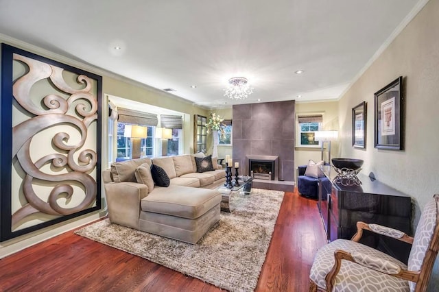 living room featuring a tile fireplace, ornamental molding, a wealth of natural light, and dark wood-type flooring