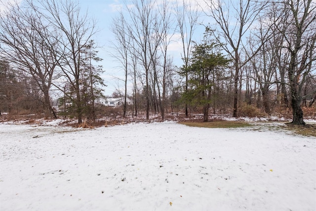 view of yard covered in snow