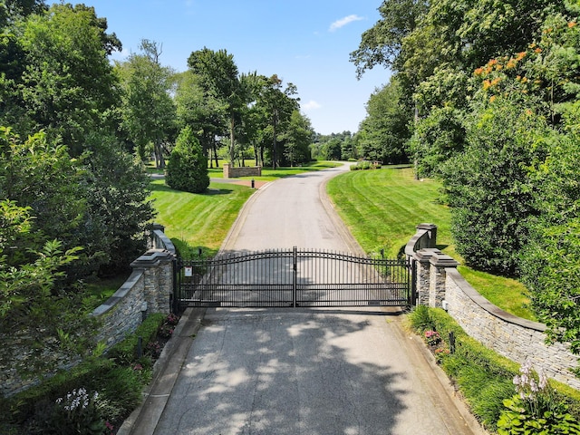 view of gate with a yard