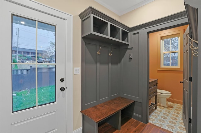 mudroom featuring dark hardwood / wood-style flooring