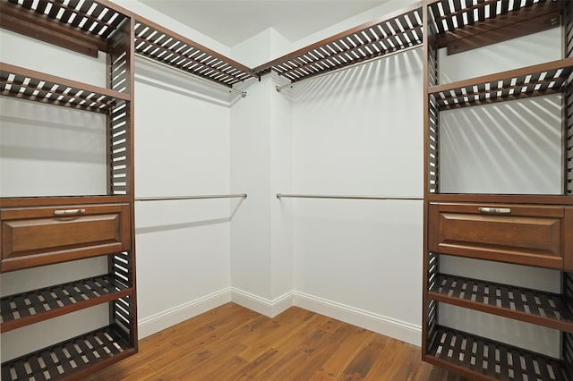 walk in closet with hardwood / wood-style flooring