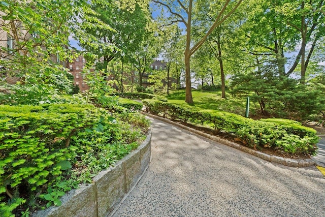 5500 Fieldston Rd Unit 5Cc, Bronx, NY 10471 - view of property's community