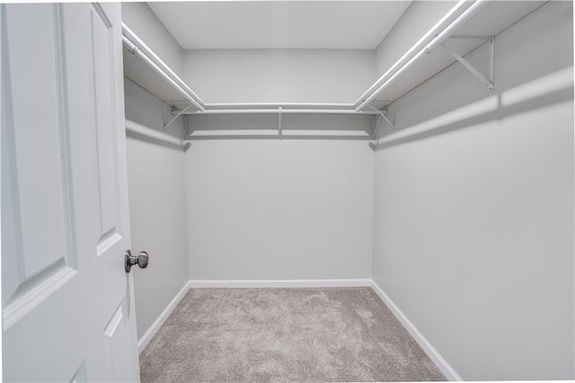 walk in closet with light carpet