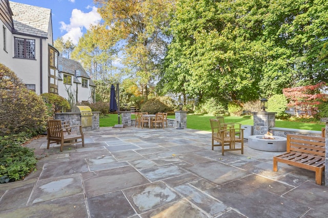 view of patio / terrace featuring area for grilling and a fire pit