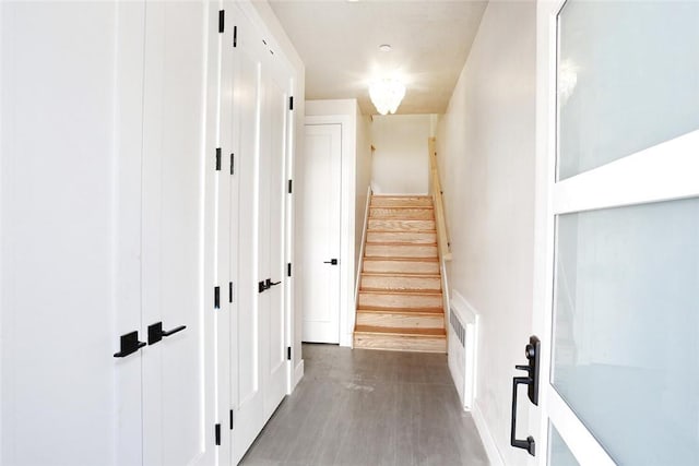 corridor with dark hardwood / wood-style flooring