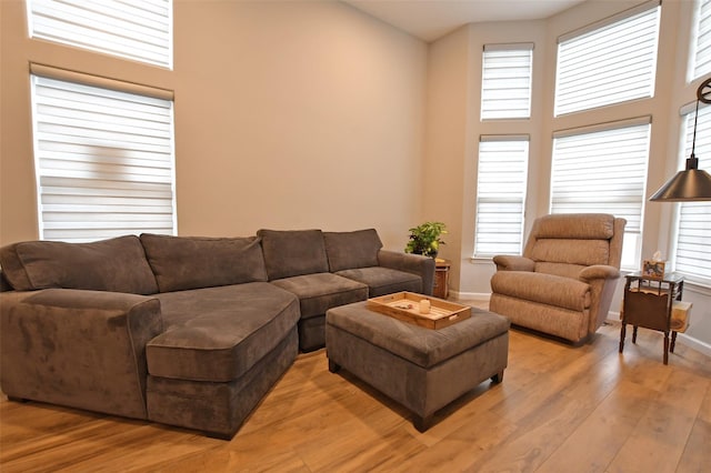 living room featuring a healthy amount of sunlight, a towering ceiling, and light hardwood / wood-style flooring