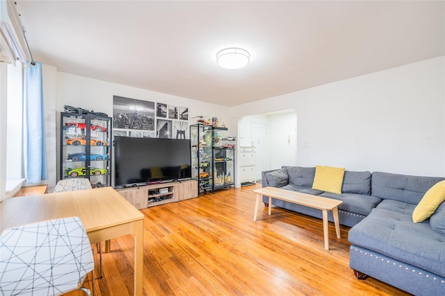 living room featuring light hardwood / wood-style flooring