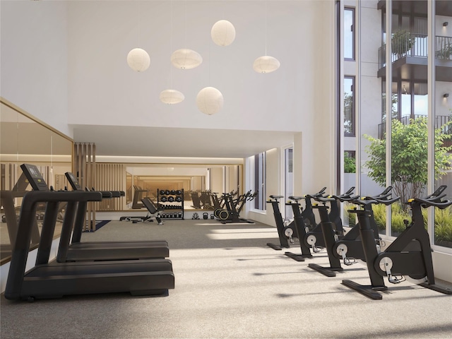 exercise room with carpet flooring and a high ceiling