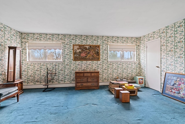 living area featuring carpet flooring and a baseboard radiator