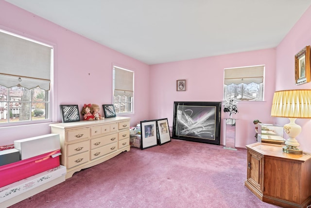 living area with light carpet