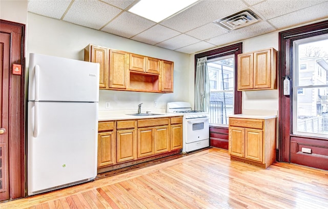 kitchen featuring a drop ceiling, light hardwood / wood-style floors, white appliances, and sink