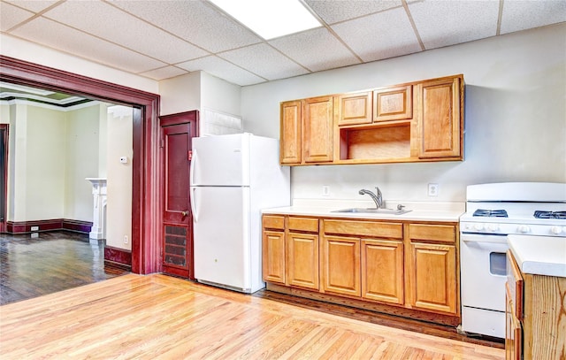 kitchen with white appliances, light hardwood / wood-style flooring, a drop ceiling, and sink