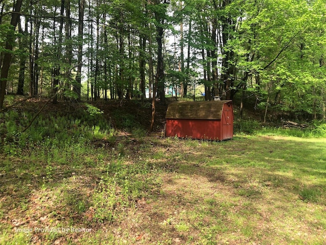 view of yard featuring a storage unit