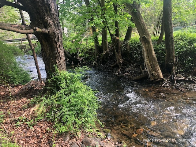 view of local wilderness