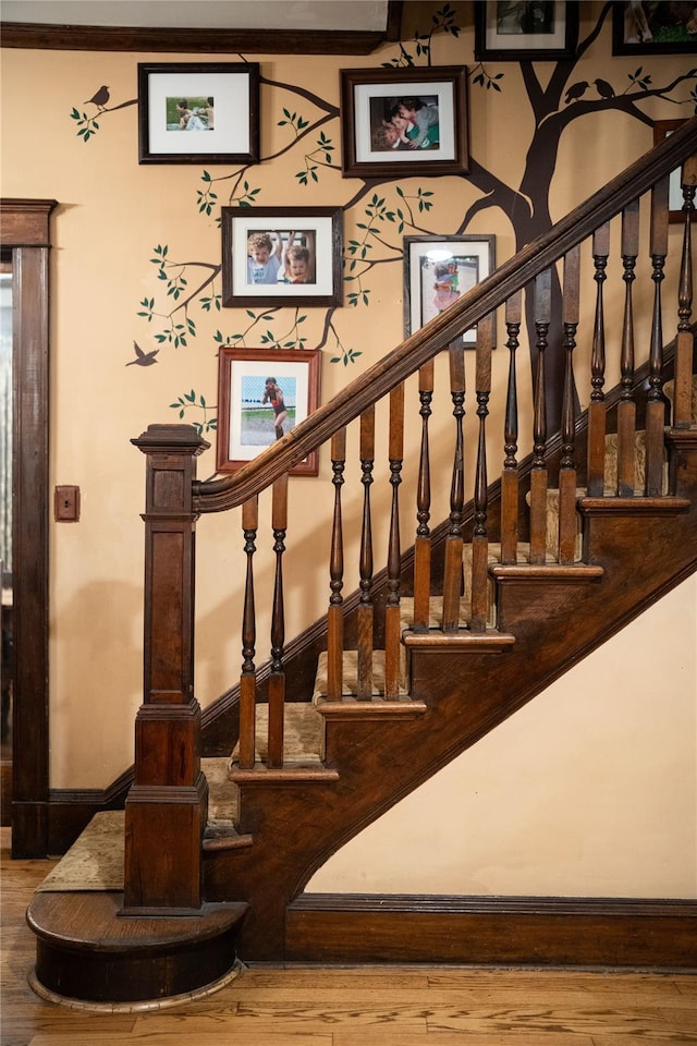 stairs with hardwood / wood-style floors