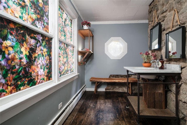 interior space with a wealth of natural light, dark hardwood / wood-style flooring, and a baseboard radiator