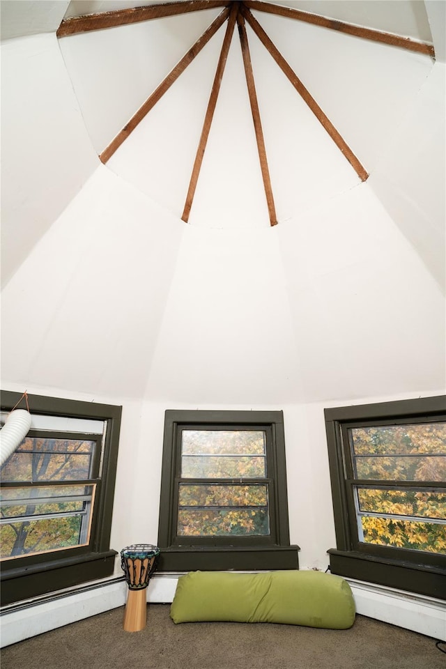 details featuring a baseboard heating unit and carpet