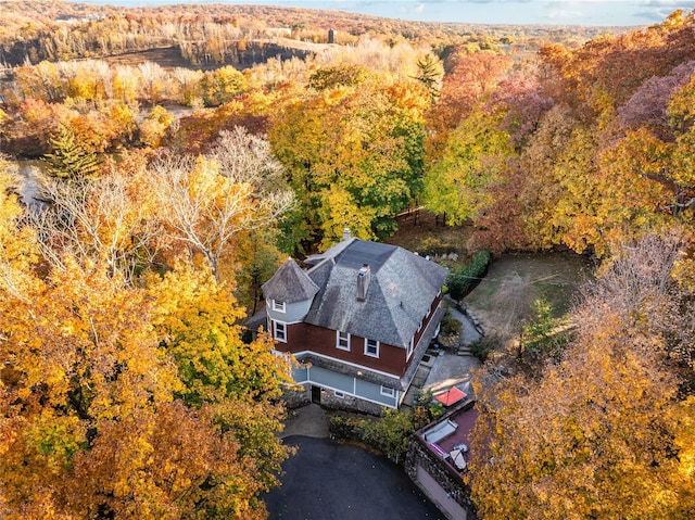 bird's eye view