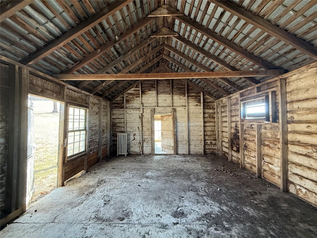 miscellaneous room featuring vaulted ceiling