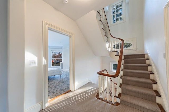 stairway with carpet flooring