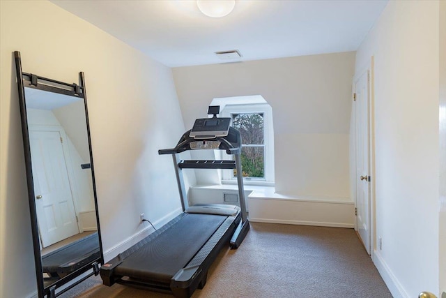 workout area featuring carpet flooring