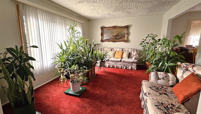 interior space with carpet and a textured ceiling