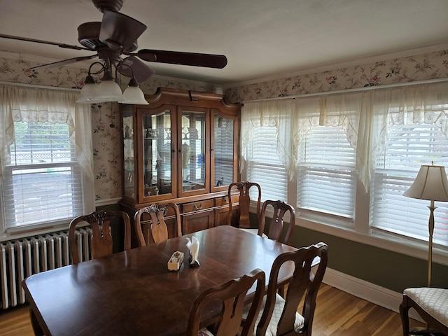 dining room with hardwood / wood-style flooring, ceiling fan, radiator heating unit, and ornamental molding