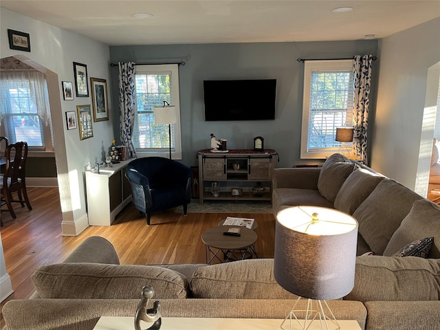 living room with plenty of natural light and wood-type flooring