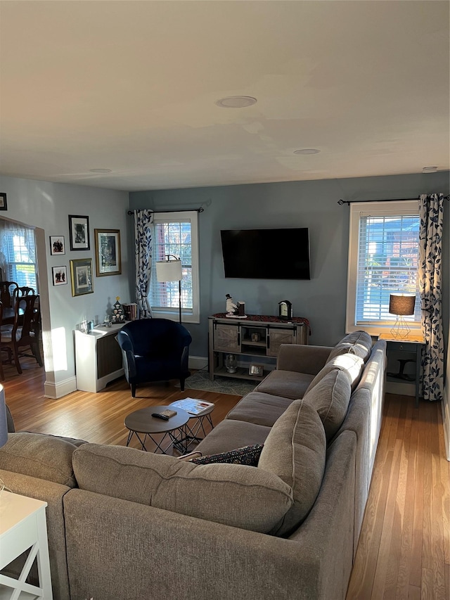 living room with light hardwood / wood-style floors and a wealth of natural light