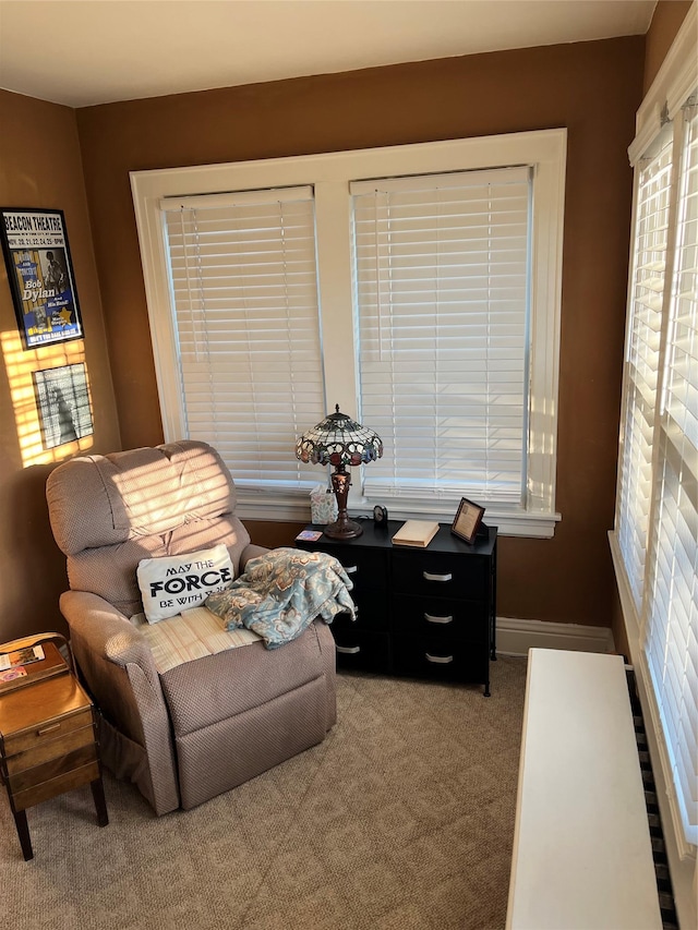 living area with light carpet