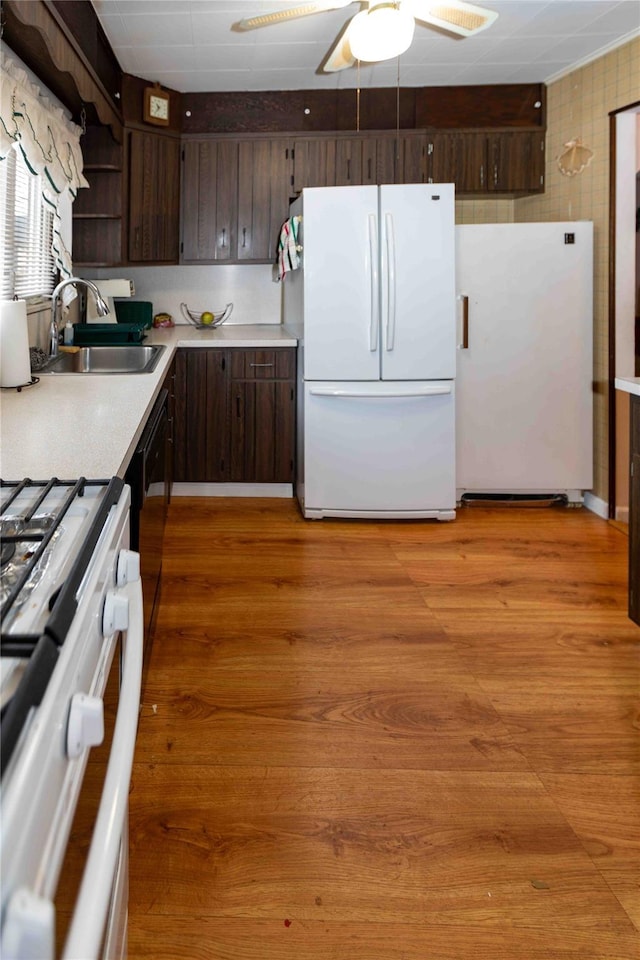 kitchen with dark brown cabinetry, white appliances, sink, and light wood-type flooring