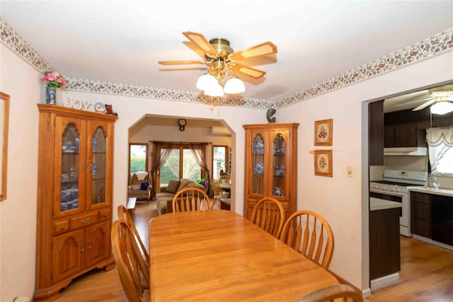 dining space with light hardwood / wood-style floors and ceiling fan