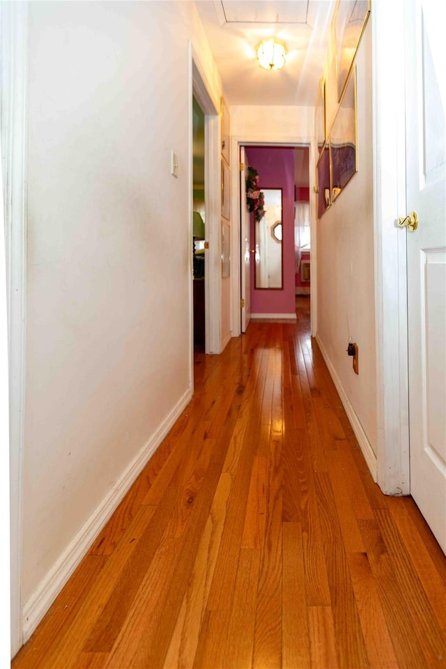 hallway with hardwood / wood-style flooring