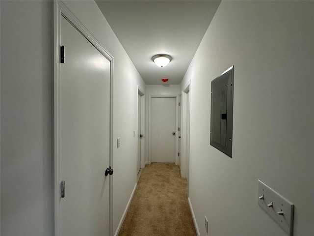 hallway with electric panel and light carpet