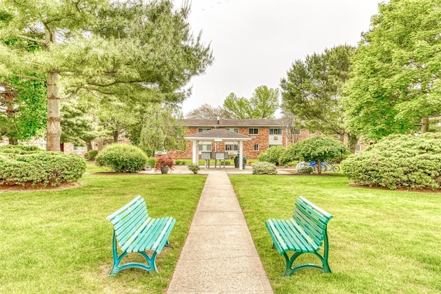 view of community with a yard