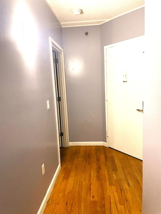 corridor featuring wood-type flooring