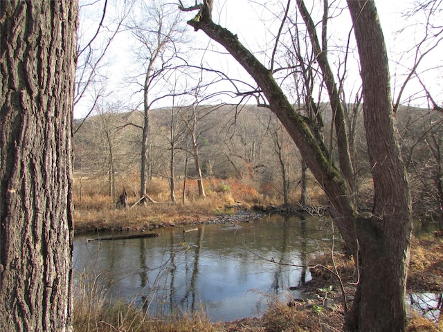 view of water feature