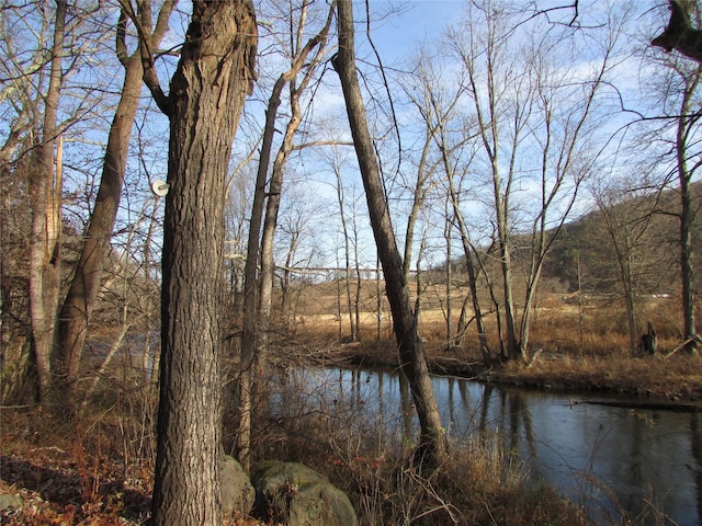 view of water feature