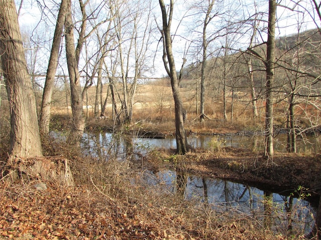 water view